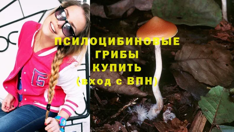 нарко площадка состав  Красноуральск  Псилоцибиновые грибы MAGIC MUSHROOMS  закладки 